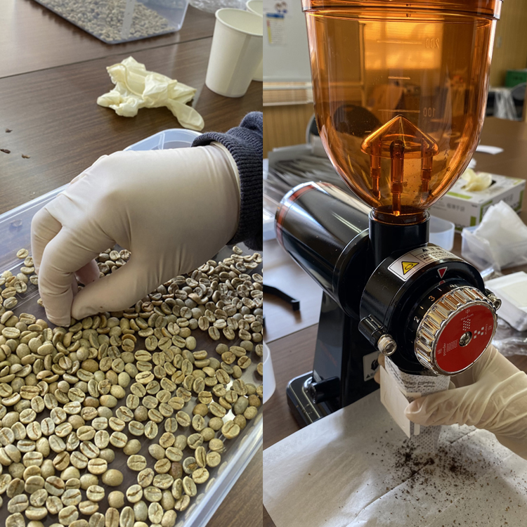 珈琲豆の選別･焙煎